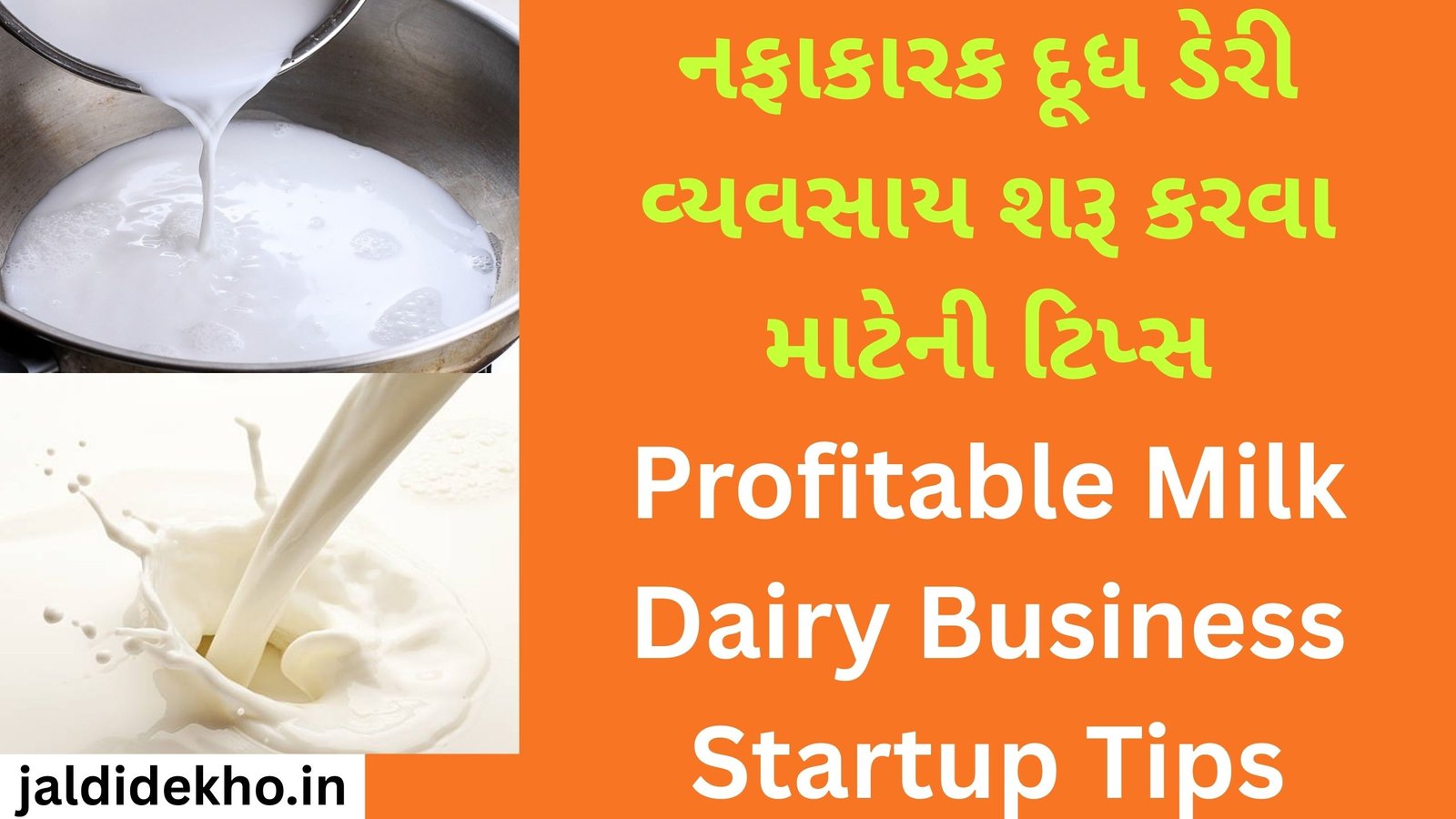 Profitable Milk Dairy Business Startup Tips
