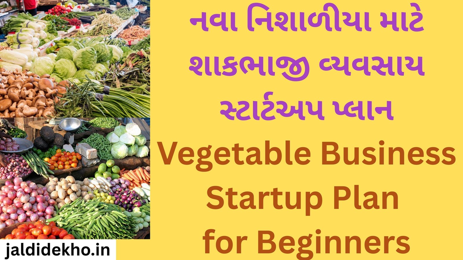 Vegetable Business Startup Plan for Beginners